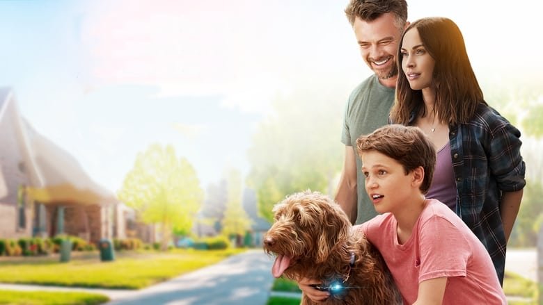 Think Like a Dog movie backdrop