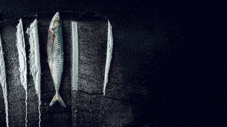 Turn of the Tide: The Surreal Story of Rabo de Peixe movie backdrop