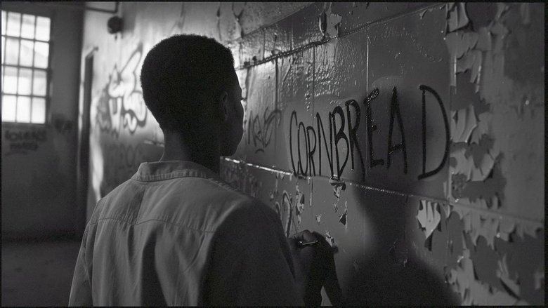 Microphone Check: The Hidden History of Hip Hop movie backdrop