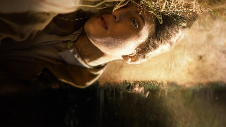 Fever Dream movie backdrop