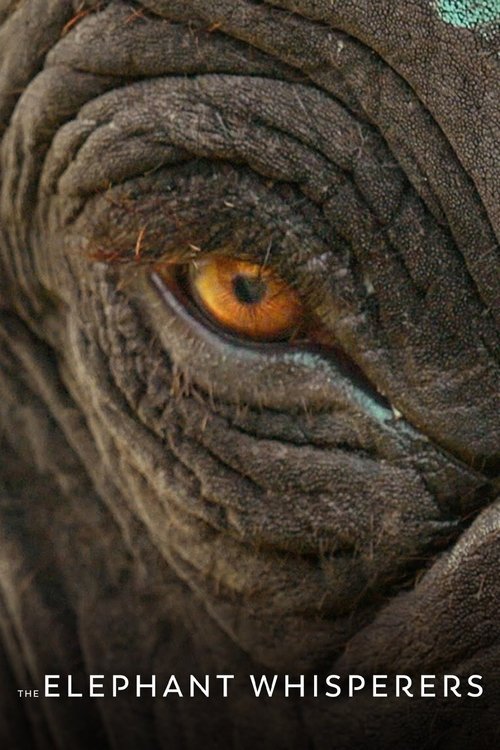 The Elephant Whisperers movie