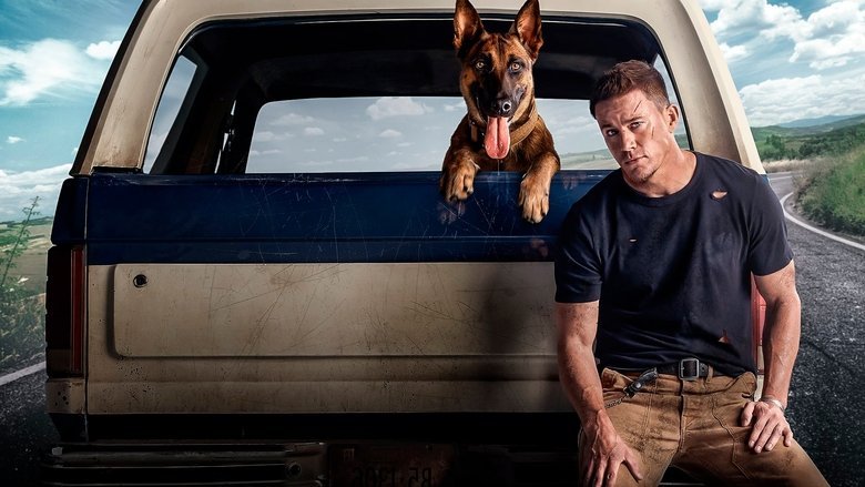 Dog movie backdrop