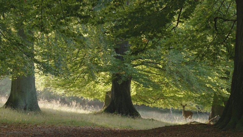 The Hidden Life of Trees movie backdrop