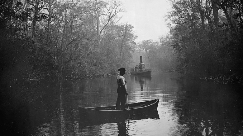 Invisible History: Middle Florida's Hidden Roots movie backdrop