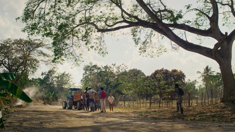 Platanero movie backdrop