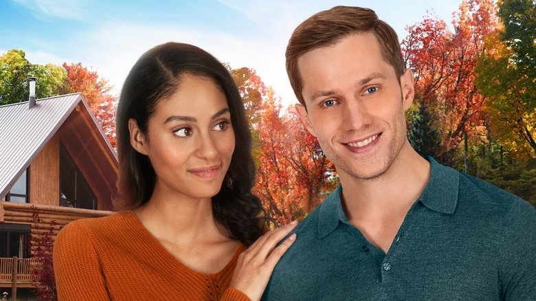 Love at Look Lodge movie backdrop