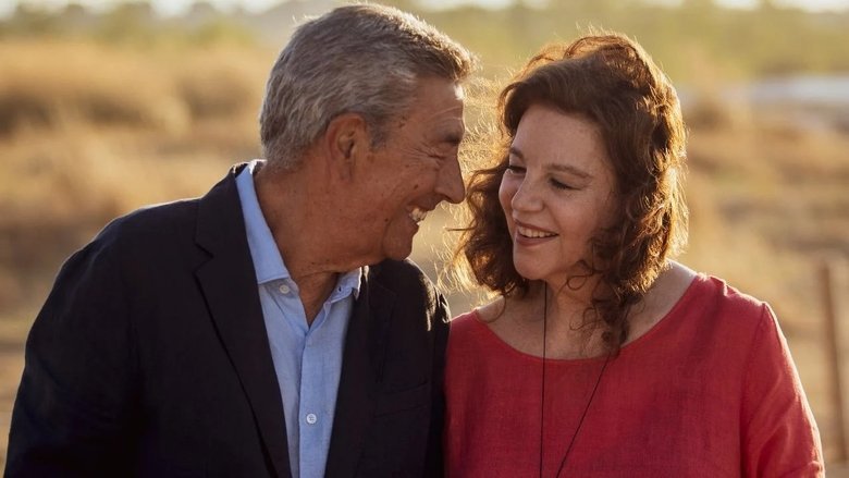 Never Too Late For Love movie backdrop