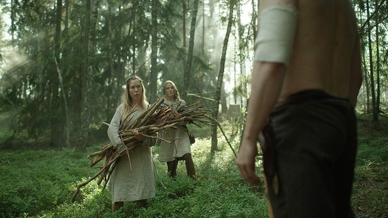 The Huntress: Rune of the Dead movie backdrop