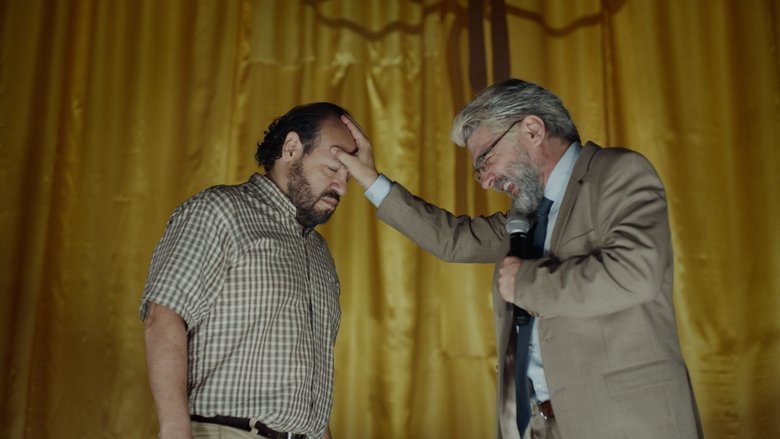 The Visitor movie backdrop