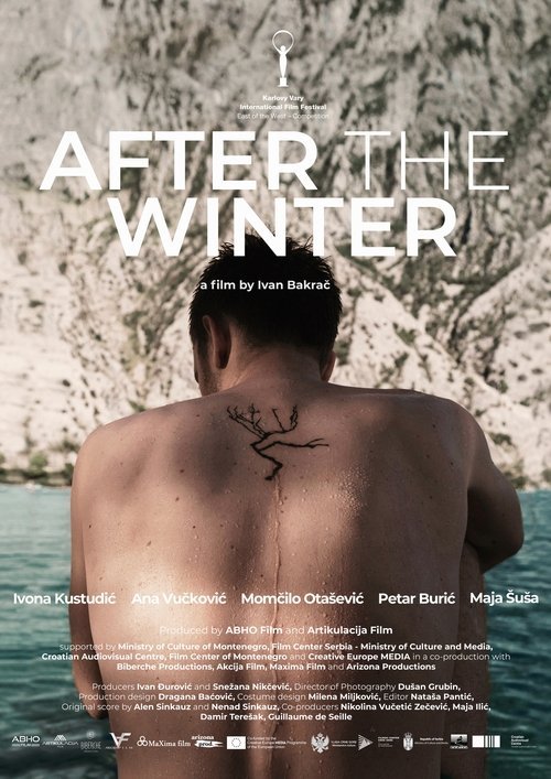 After the Winter movie