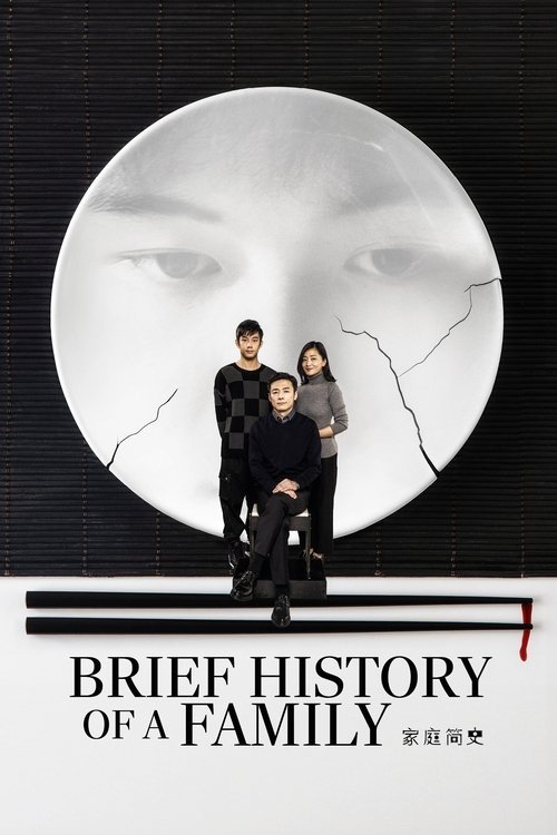Brief History of a Family movie