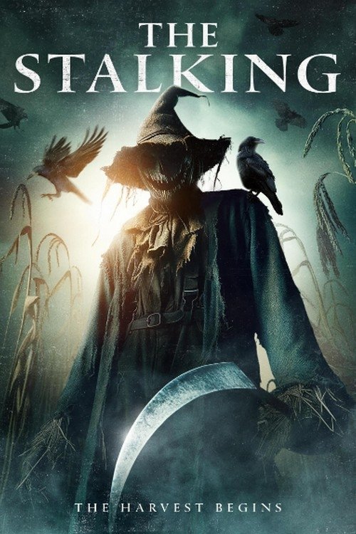The Stalking movie