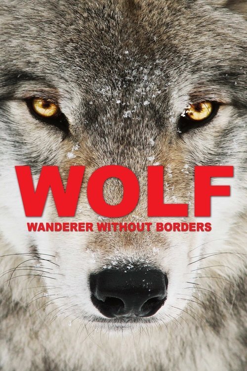 Wolf: Wanderer Without Borders movie