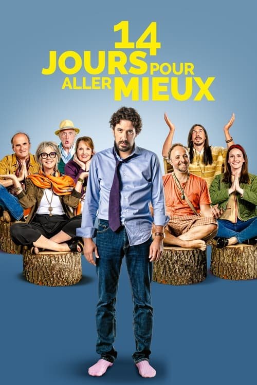 14 Days to Feel Better movie