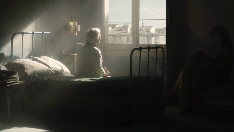 Portrait of White Woman with Grey Hair and Wrinkles movie backdrop