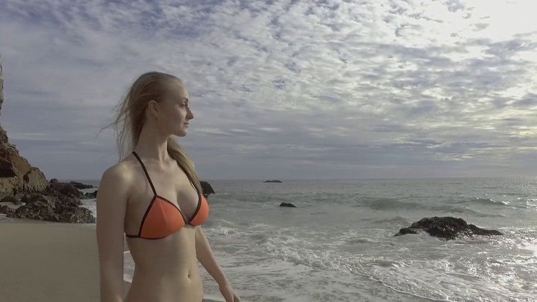 Shark Encounters of the Third Kind movie backdrop