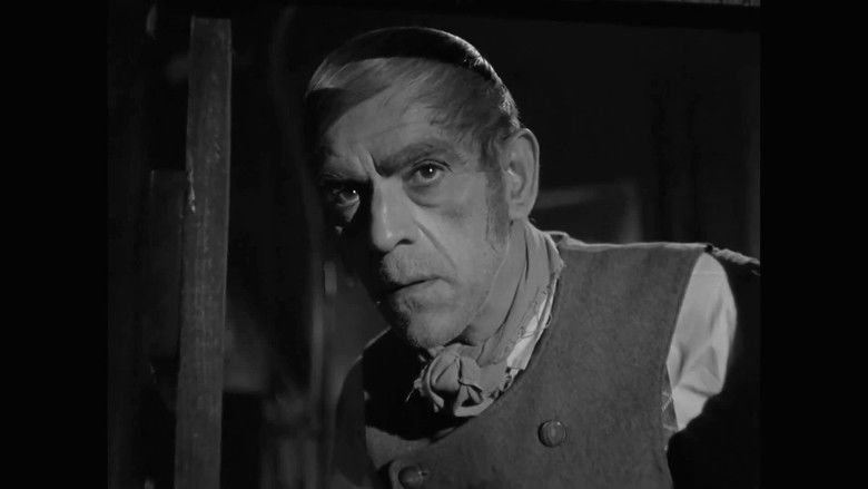 Boris Karloff: The Man Behind the Monster movie backdrop