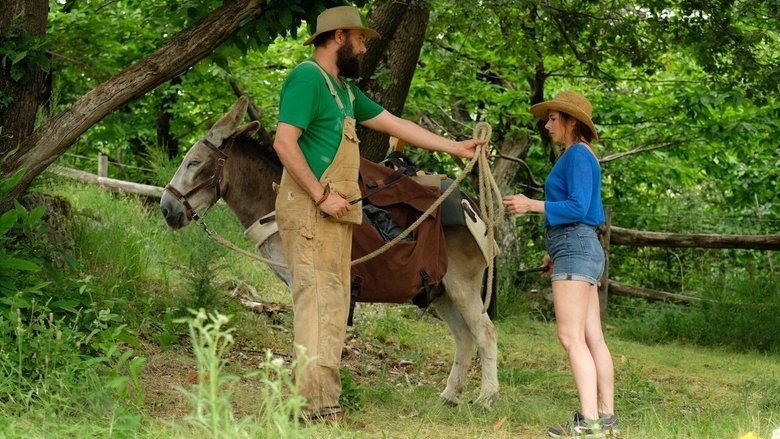 My Donkey, My Lover & I movie backdrop