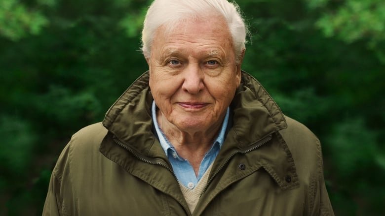 David Attenborough: A Life on Our Planet movie backdrop