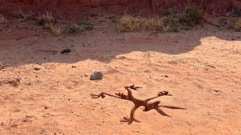 Coyote vs. Acme movie backdrop