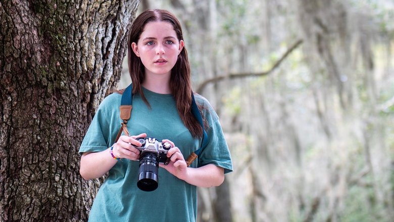 What We Hide movie backdrop