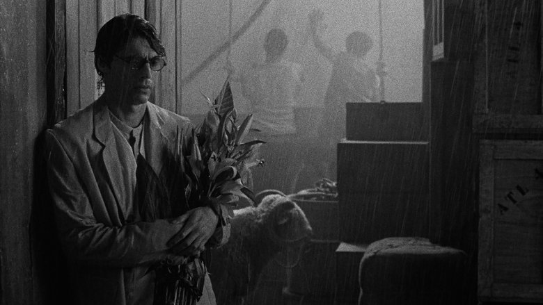 Grand Tour movie backdrop