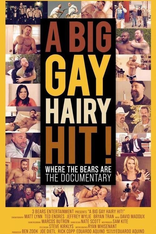 A Big Gay Hairy Hit! Where the Bears Are: The Documentary movie