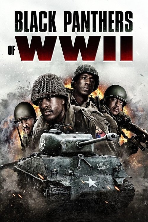 Black Panthers of WWII movie