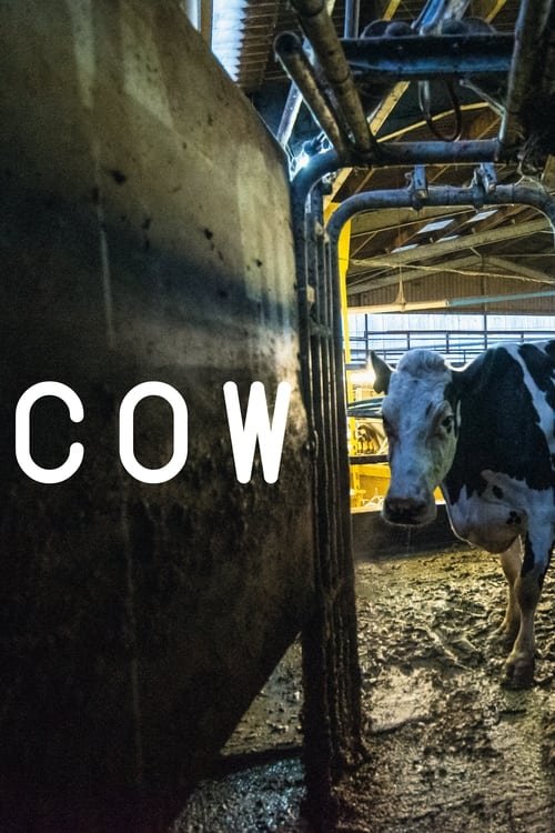 Cow movie