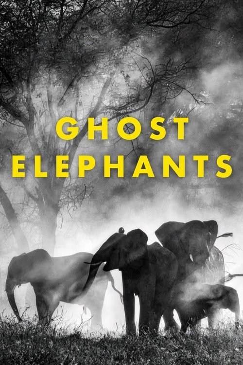Ghost Elephants movie