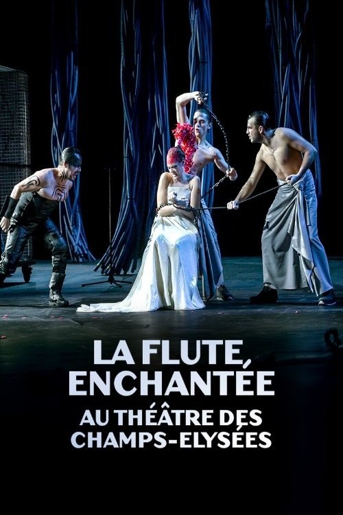 La flûte enchantée au Théâtre des Champs Elysées movie