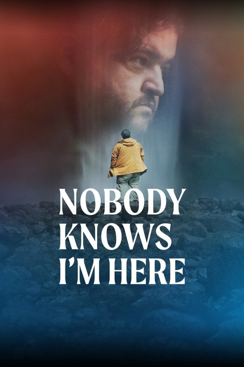 Nobody Knows I'm Here movie