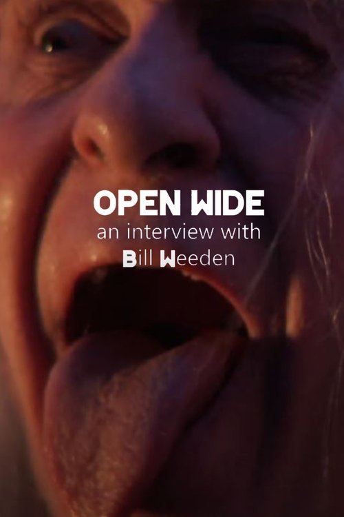 Open Wide movie