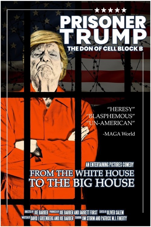 Prisoner Trump: The Don of Cell Block B movie
