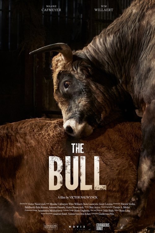 The Bull movie