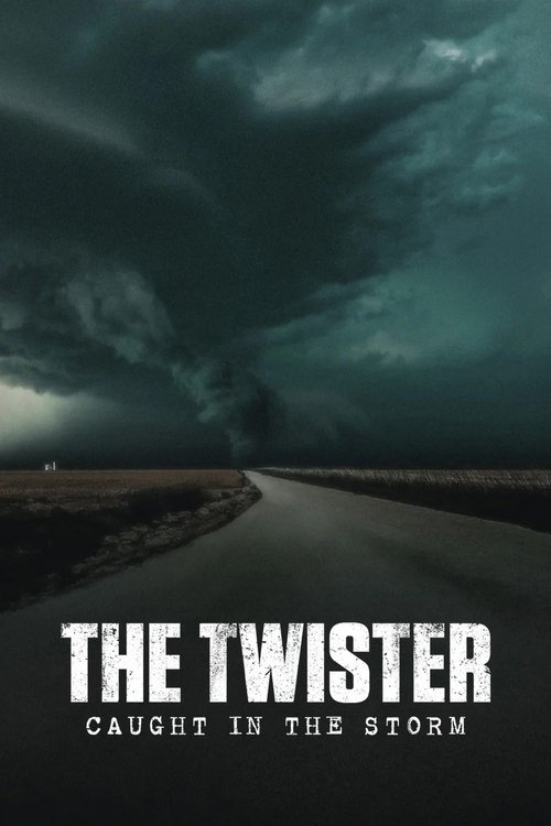 The Twister: Caught in the Storm movie