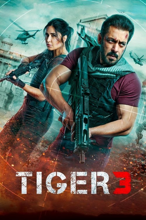 Tiger 3 movie