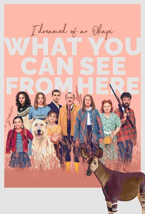 What You Can See from Here movie