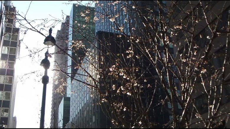 City Foliage movie backdrop