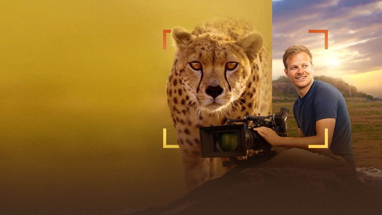 Cheetahs Up Close with Bertie Gregory movie backdrop