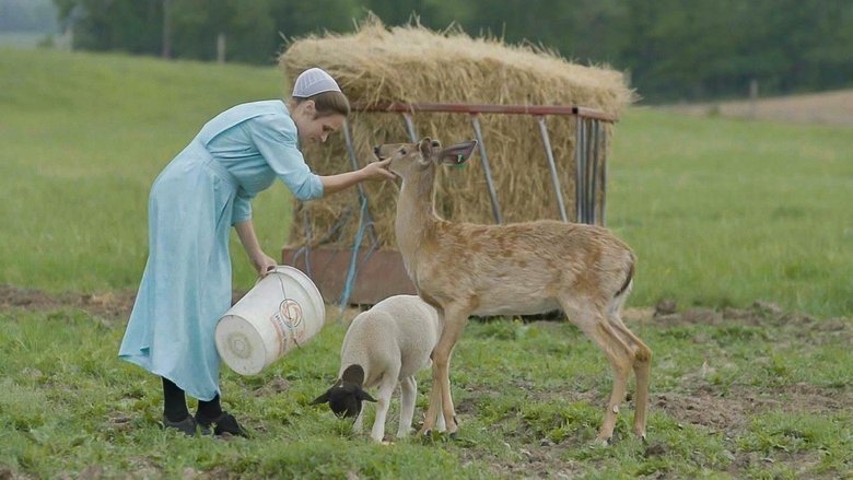 Arrest the Midwife movie backdrop