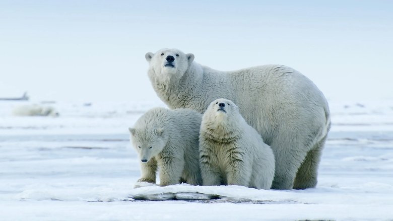 The Arctic: Our Last Great Wilderness movie backdrop