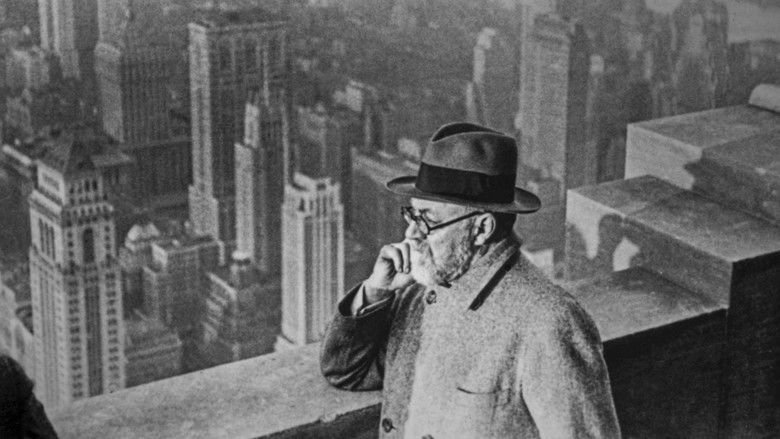 The Voyages of Matisse, Chasing Light movie backdrop