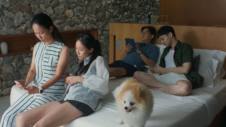 The Nature of Dogs movie backdrop
