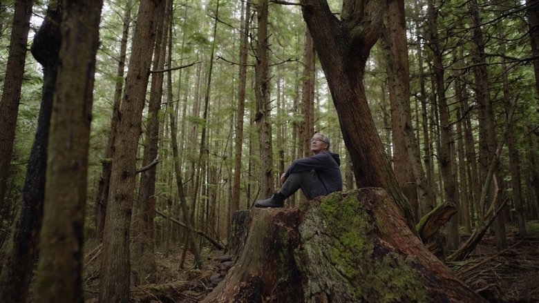 Red Fever movie backdrop