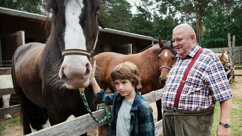 Krauses Zukunft movie backdrop