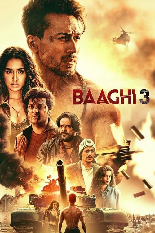 Baaghi 3 movie