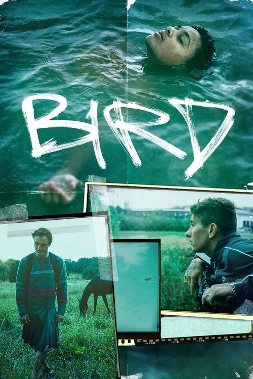 Bird movie