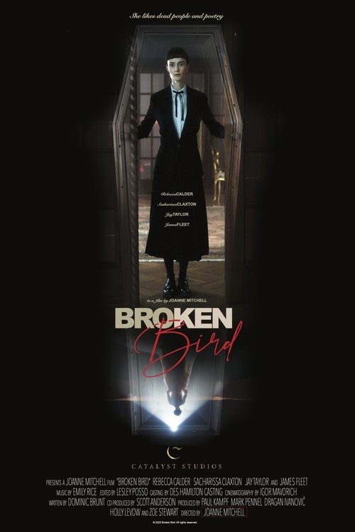 Broken Bird movie