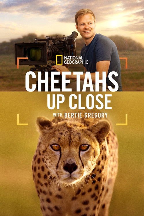 Cheetahs Up Close with Bertie Gregory movie